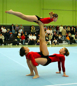 Seyler/Müller/Walter